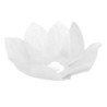 Fiore galleggiante Bianco
